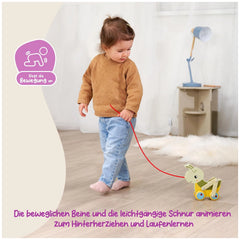 Eichhorn - Colorful-Pulling-Grasshopper - Push-Pull-Toys