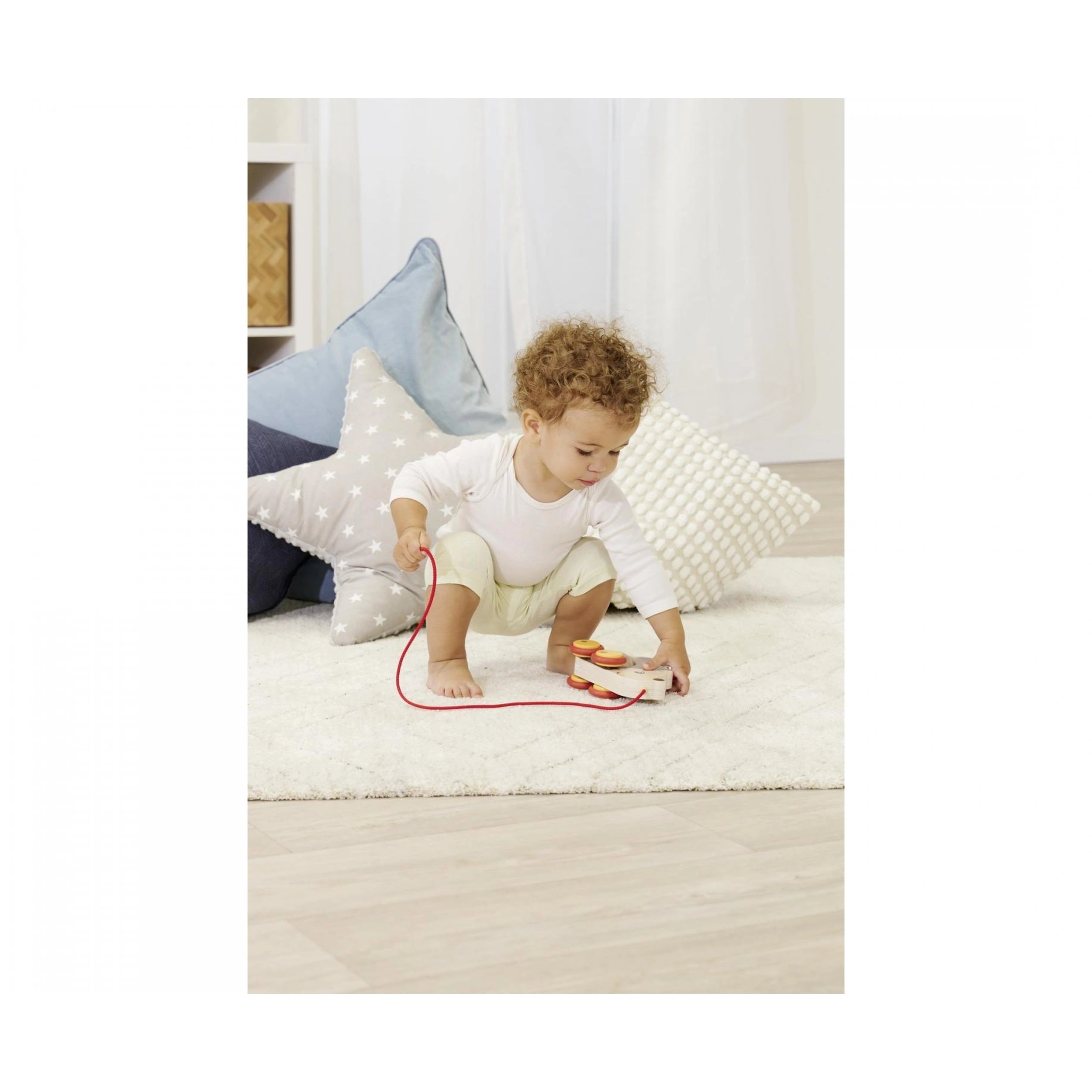 Eichhorn - Pull Back Hedgehog - Push & Pull Toys