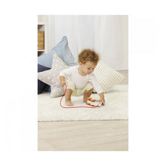 Eichhorn - Pull Back Hedgehog - Push & Pull Toys