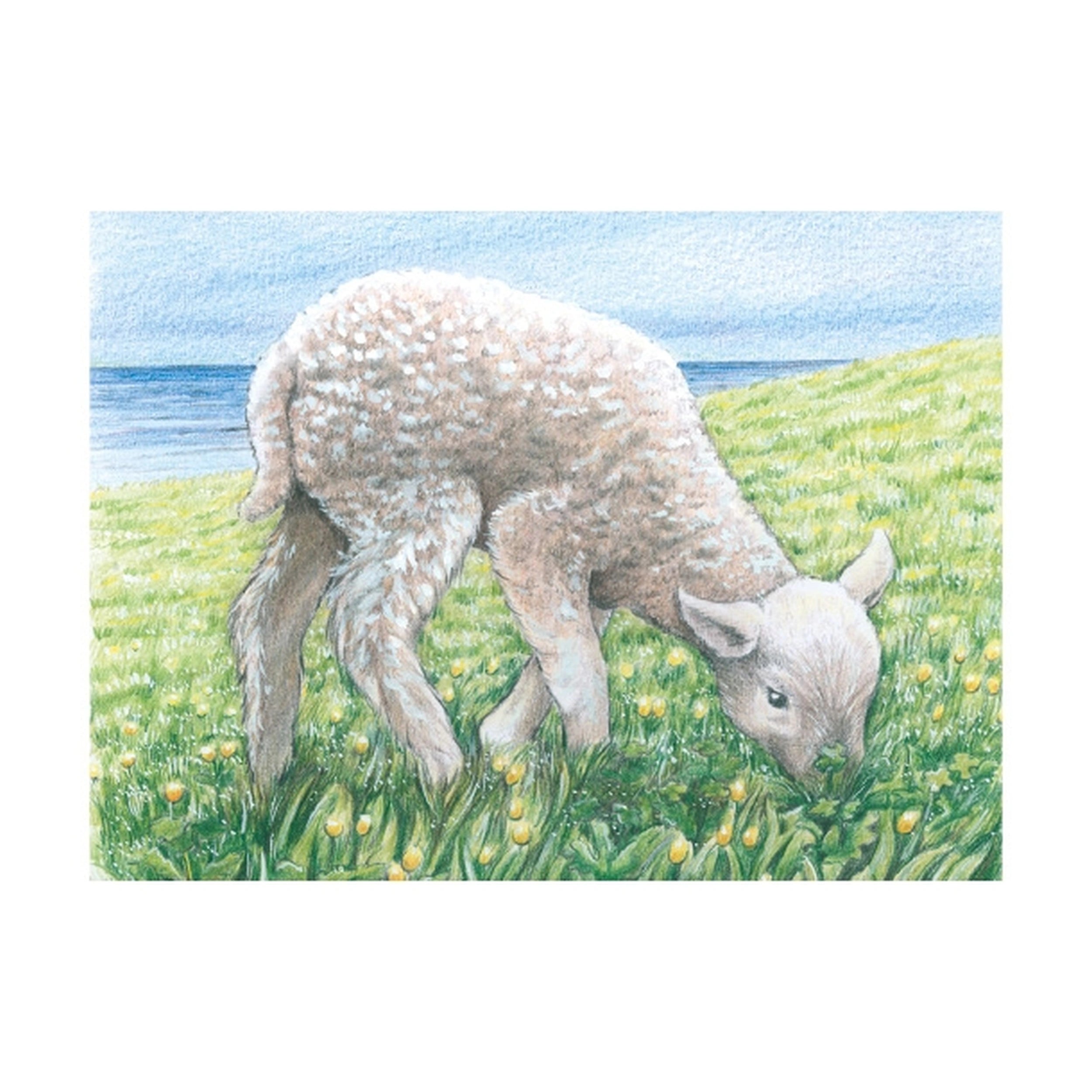 Gollness - Farm Animals Cube Puzzle - Puzzles
