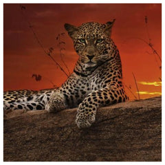 Heye - Puzzle Red Dawn online kaufen - Alexander von - Puzzle Age: +14 - HEY29608