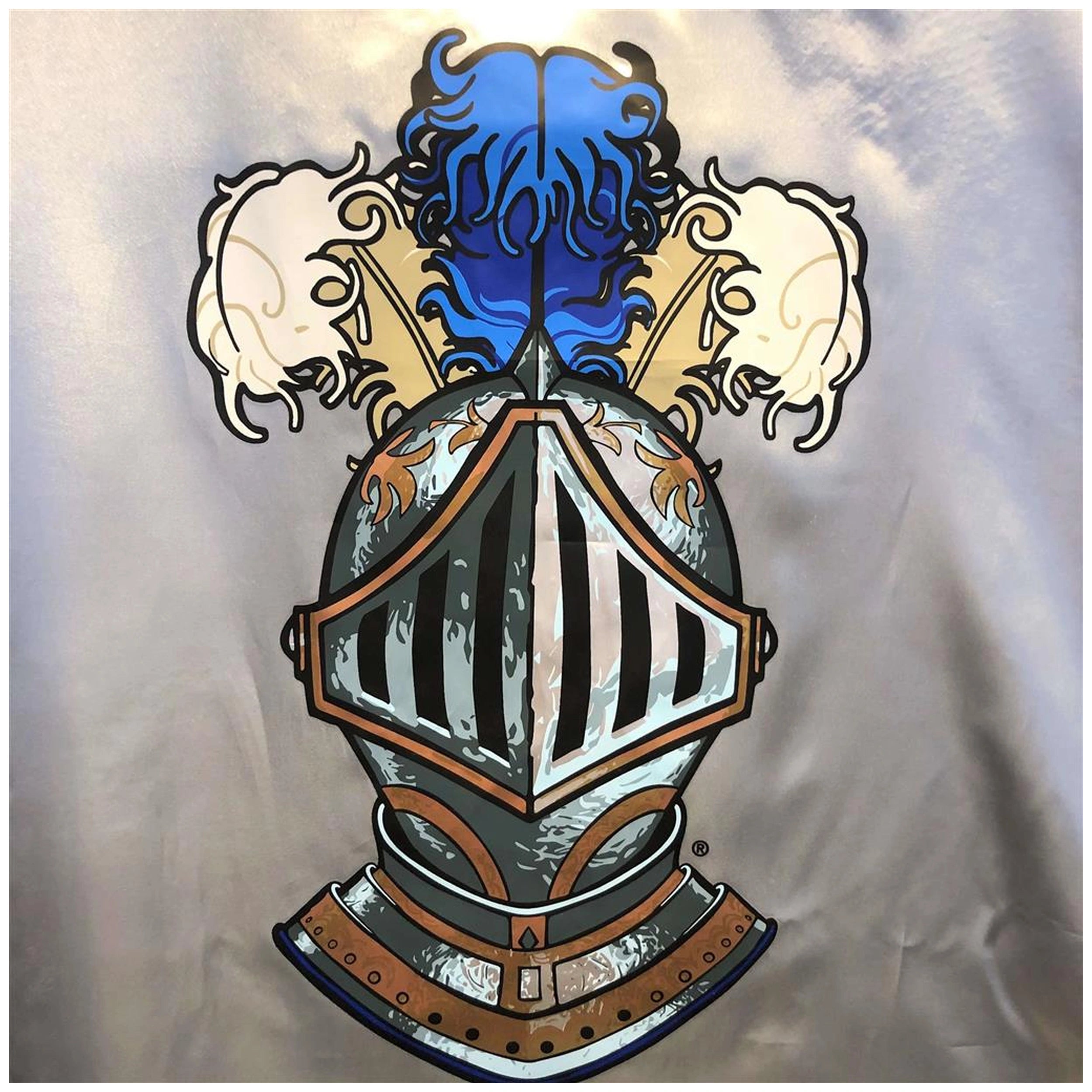 Liontouch - Cape de Chevalier Mystère - La Ligne du Chevalier Mystère - Professions Imaginaires & Jeux de Rôle