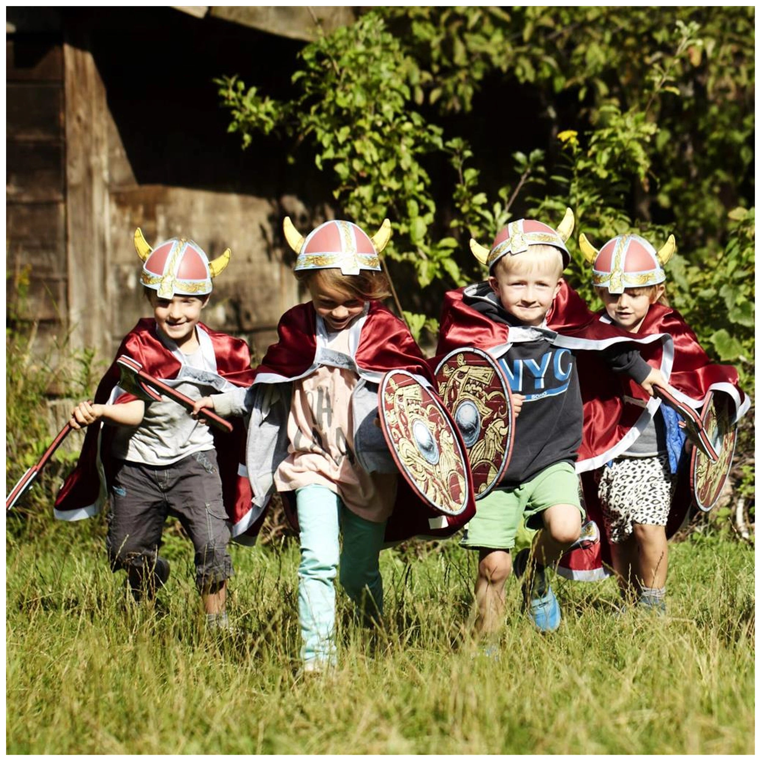 Liontouch - Viking Shield - Viking Chief Harald - Pretend Professions & Role Playing
