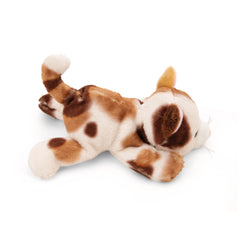 NICI - MagNICI-Cat-Calico-Animal en Peluche