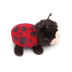 NICI - Magnici-Coccinelle-Dotti-Lotti-10-Cm-Peluches
