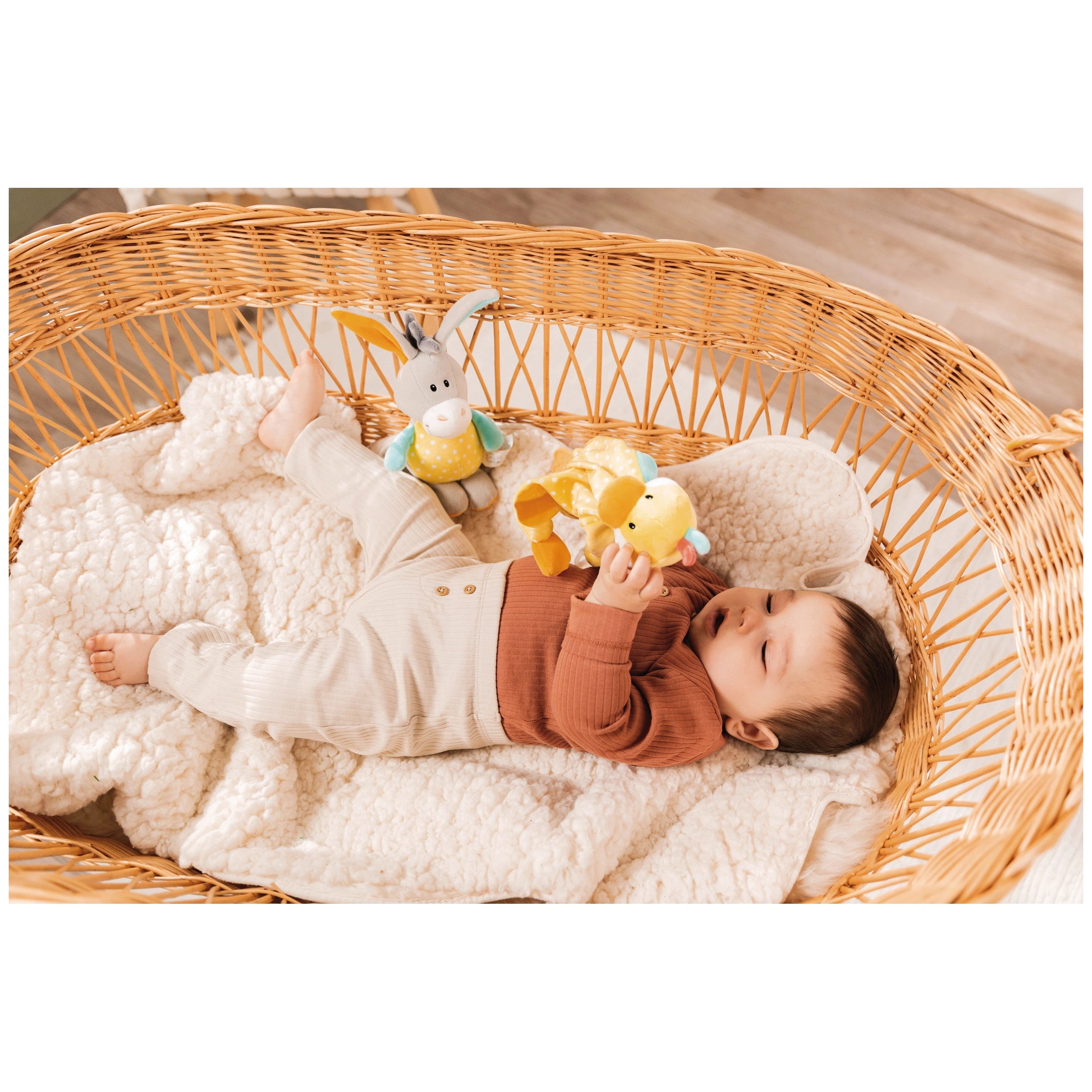 NICI - Ma Première Boîte à Musique NICI Âne 18 Cm - Jouets d'Activité pour Bébé