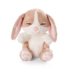 NICI - Jouets en peluche animaux de compagnie endormis Bunny Cappuccino
