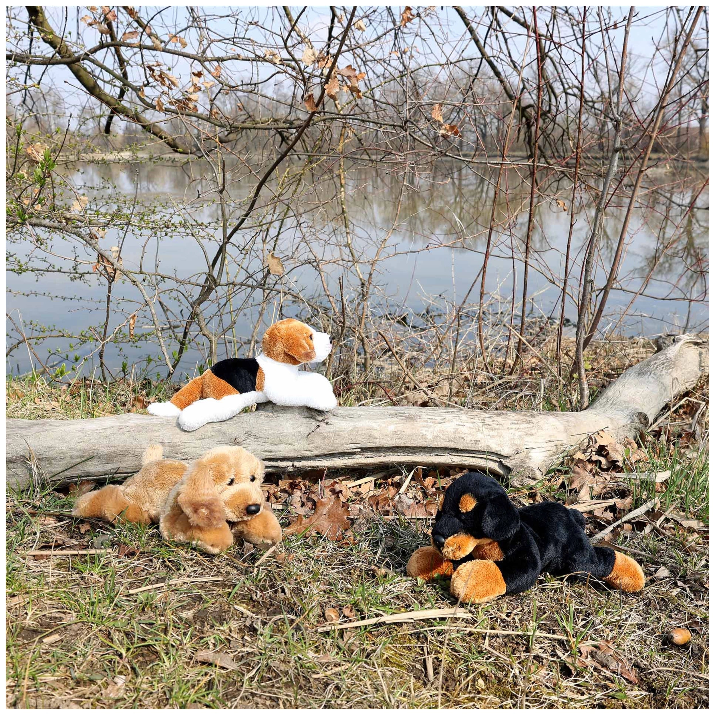 Rappa - Plush dogs assort 18cm ECO-FRIENDLY - Stuffed Animals
