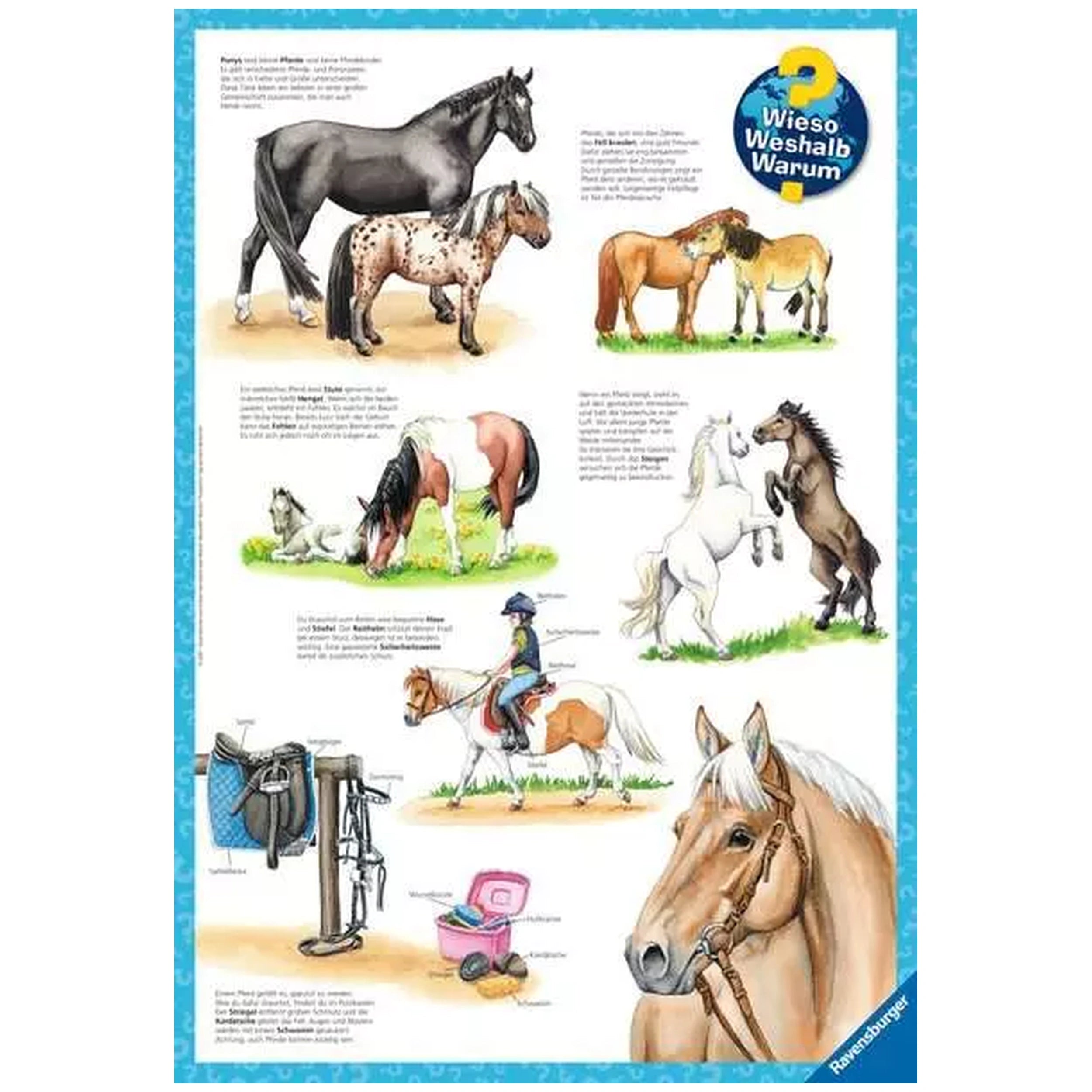 Ravensburger - A Day At The Riding Stables - 3x49 Pieces - Puzzles