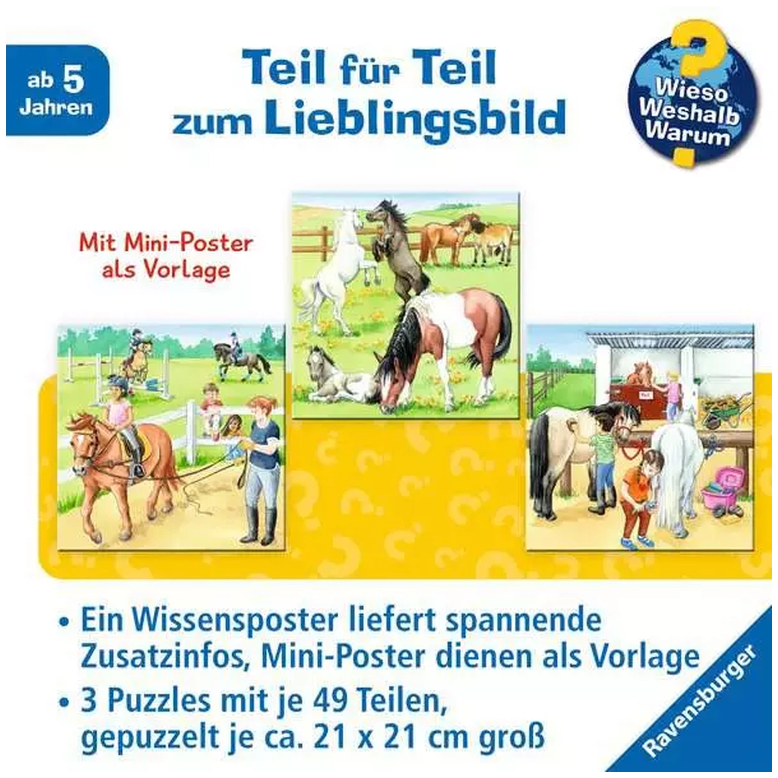 Ravensburger - A Day At The Riding Stables - 3x49 Pieces - Puzzles