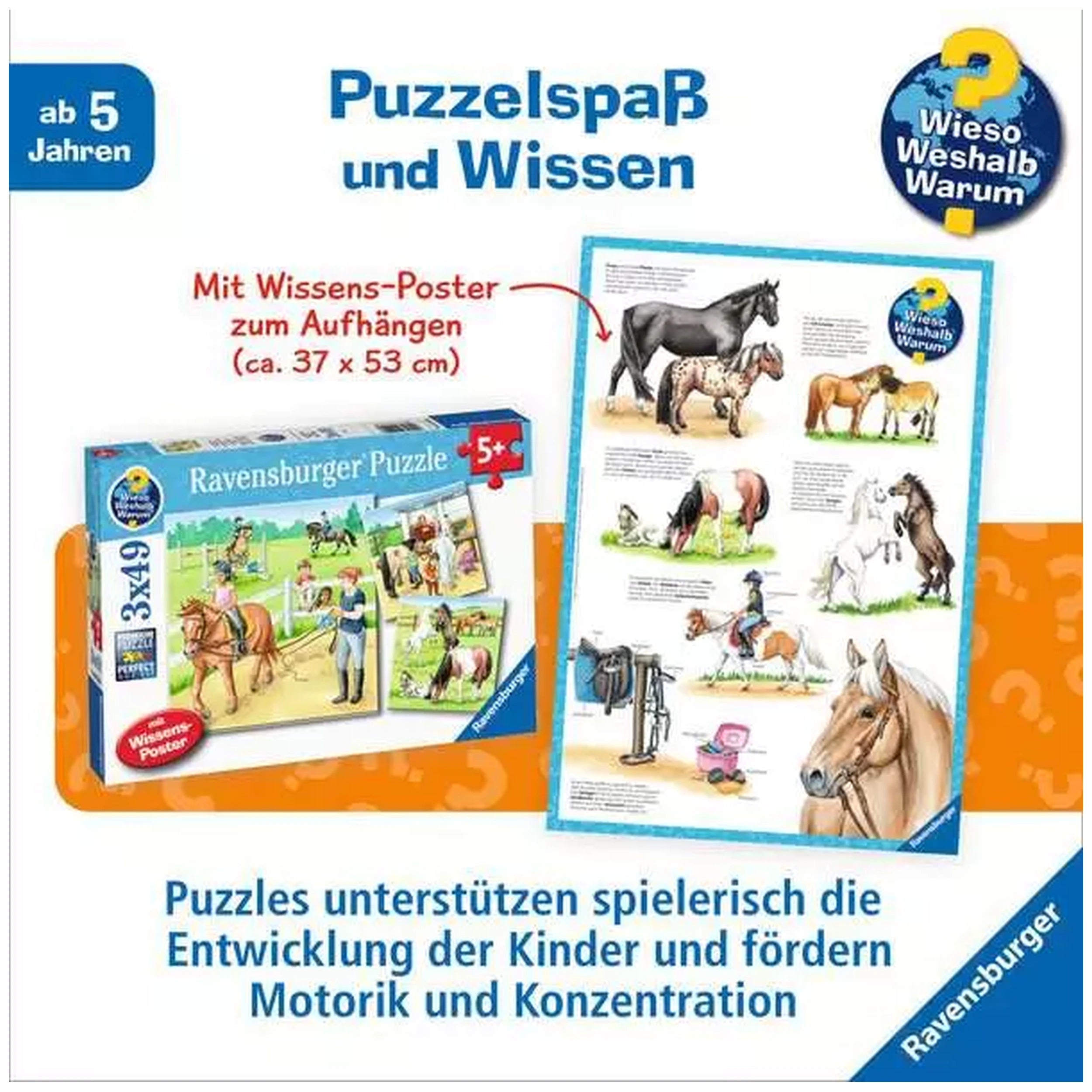 Ravensburger - A Day At The Riding Stables - 3x49 Pieces - Puzzles