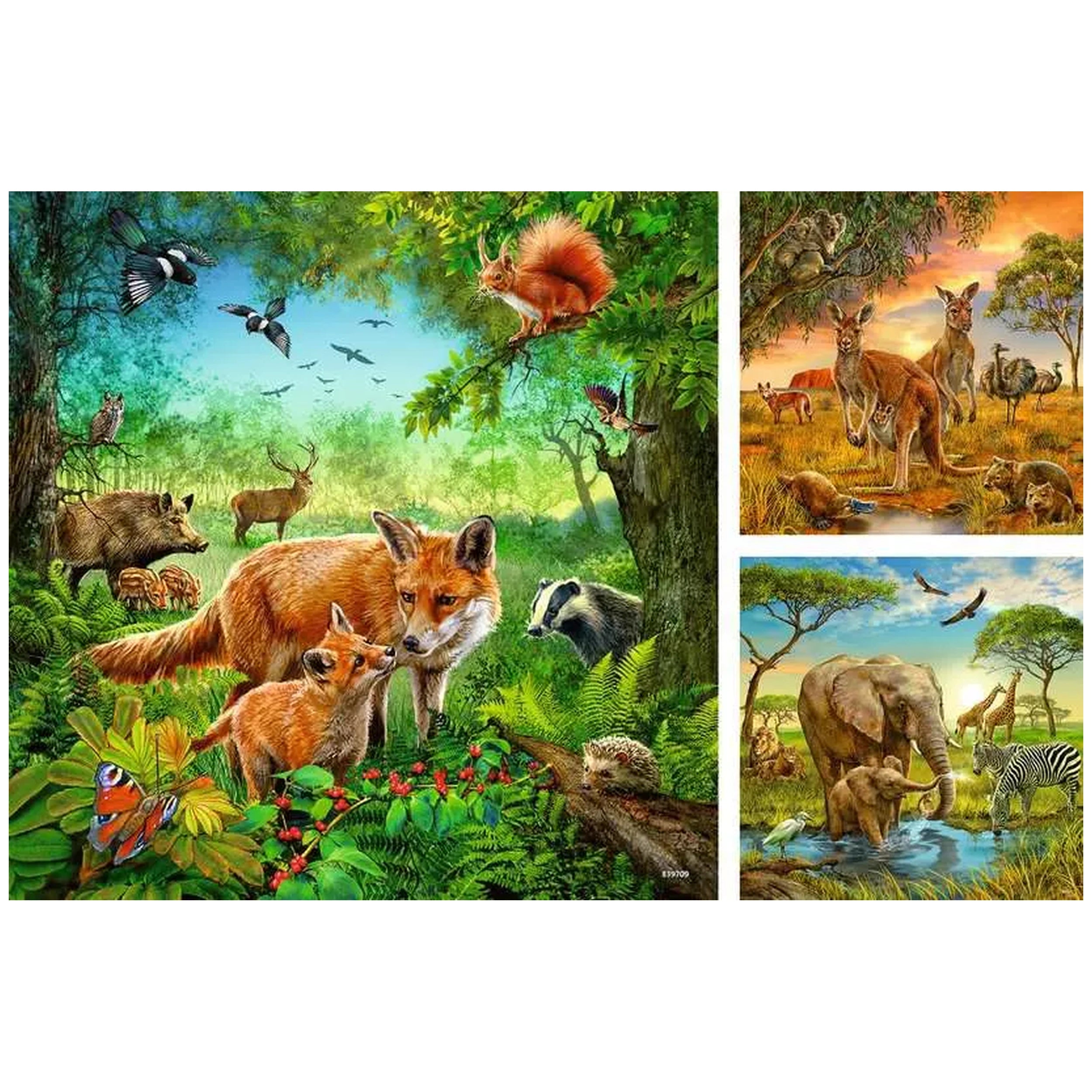 Ravensburger - Animaux de la Terre - 3x49 pièces - Puzzles