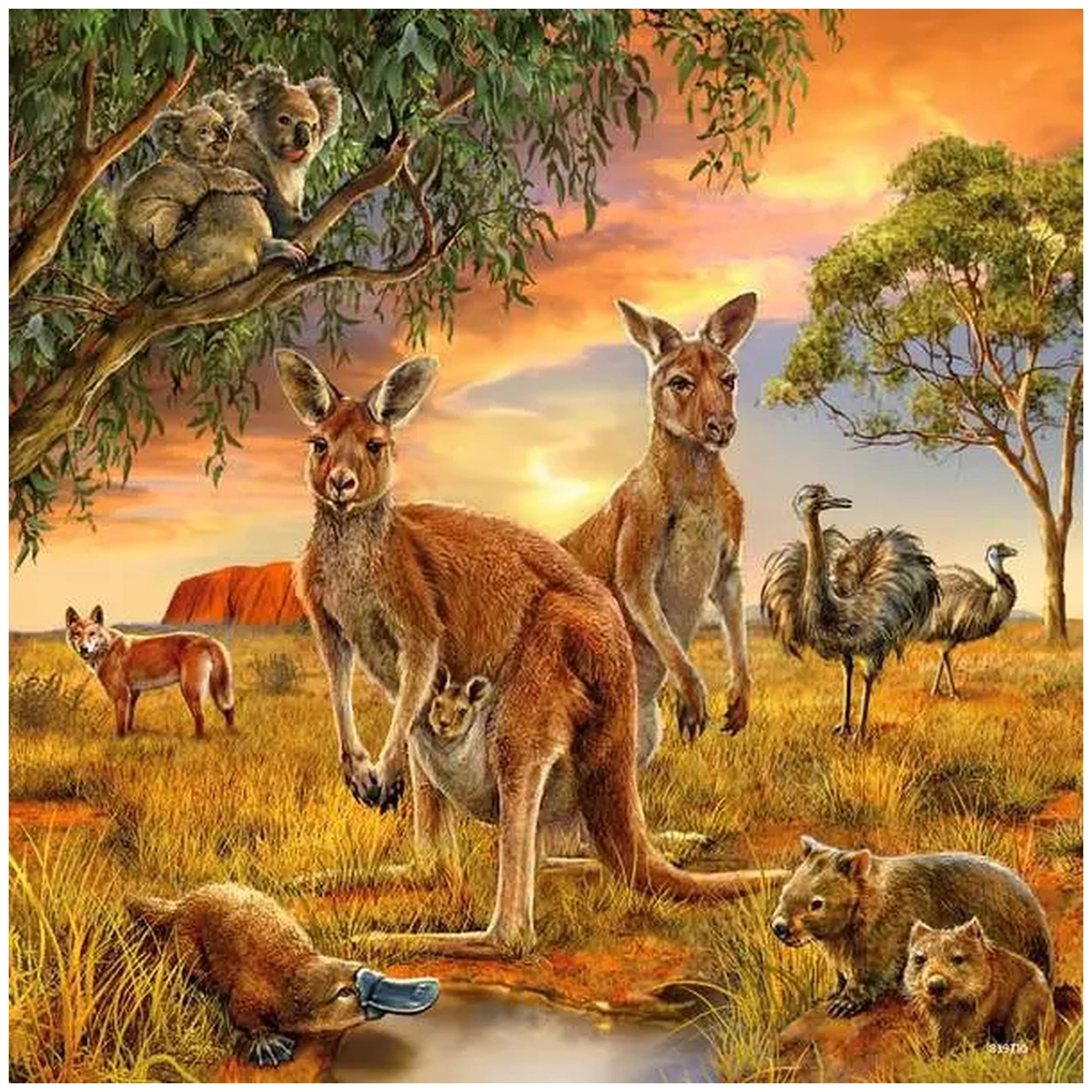 Ravensburger - Animaux de la Terre - 3x49 pièces - Puzzles