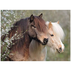 Ravensburger - Beaux Chevaux - 100 Pièces - Puzzles