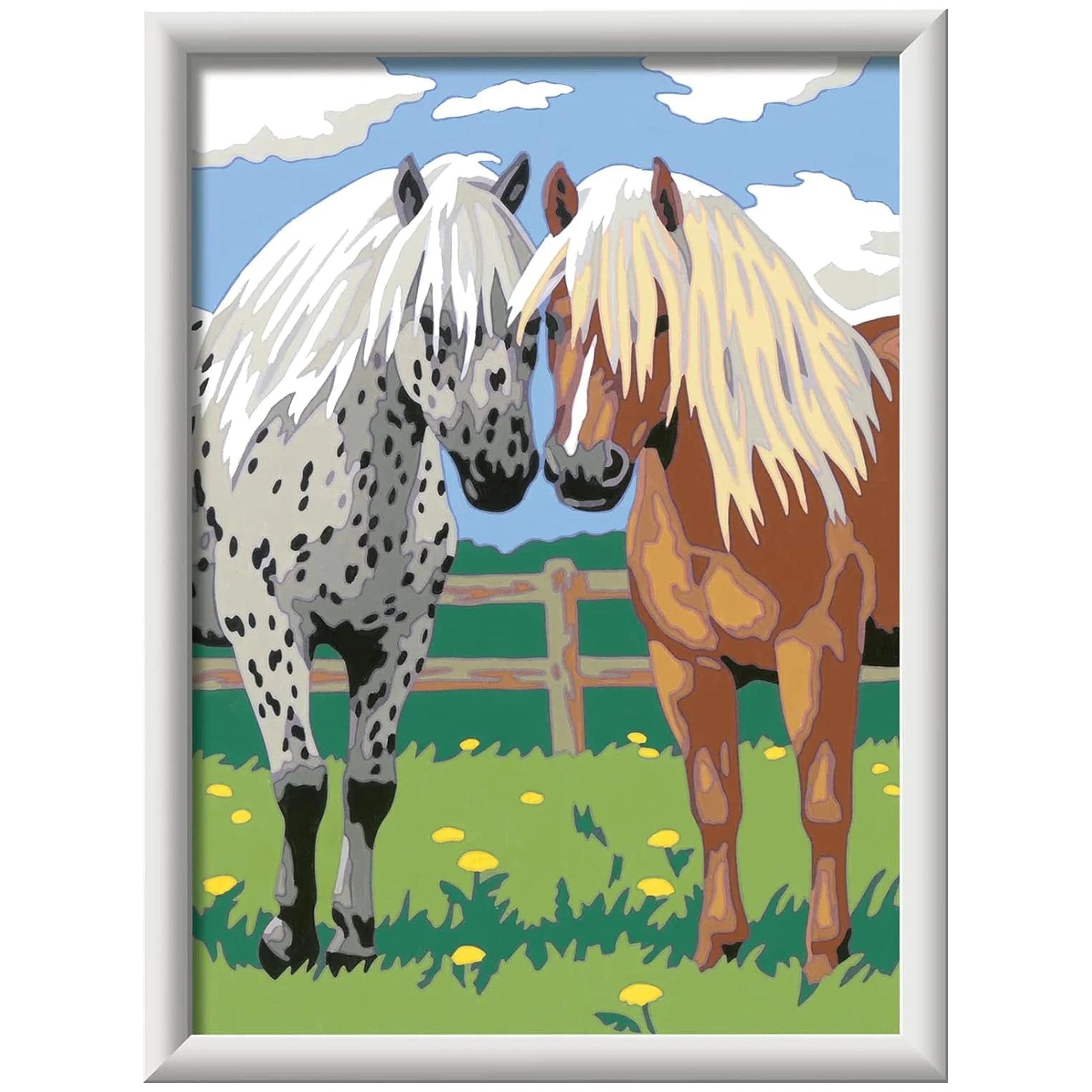Ravensburger - Creart Pair Of Horses - Painting By Numbers - Arts & Crafts