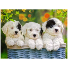 Ravensburger - Cuddly Puppies - 200 Pieces - Puzzles