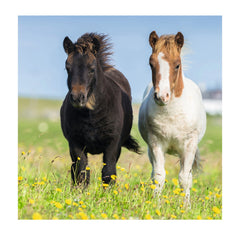 Ravensburger - Cute Ponies - 3x49 Pieces - Puzzle