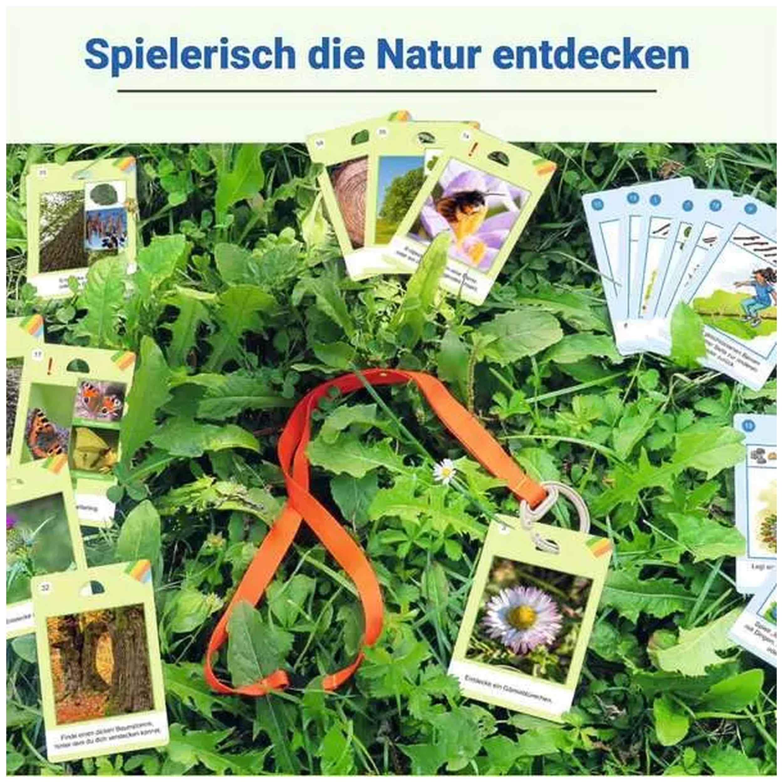 Ravensburger - Natur-Entdecker - Jeu de société - Édition allemande