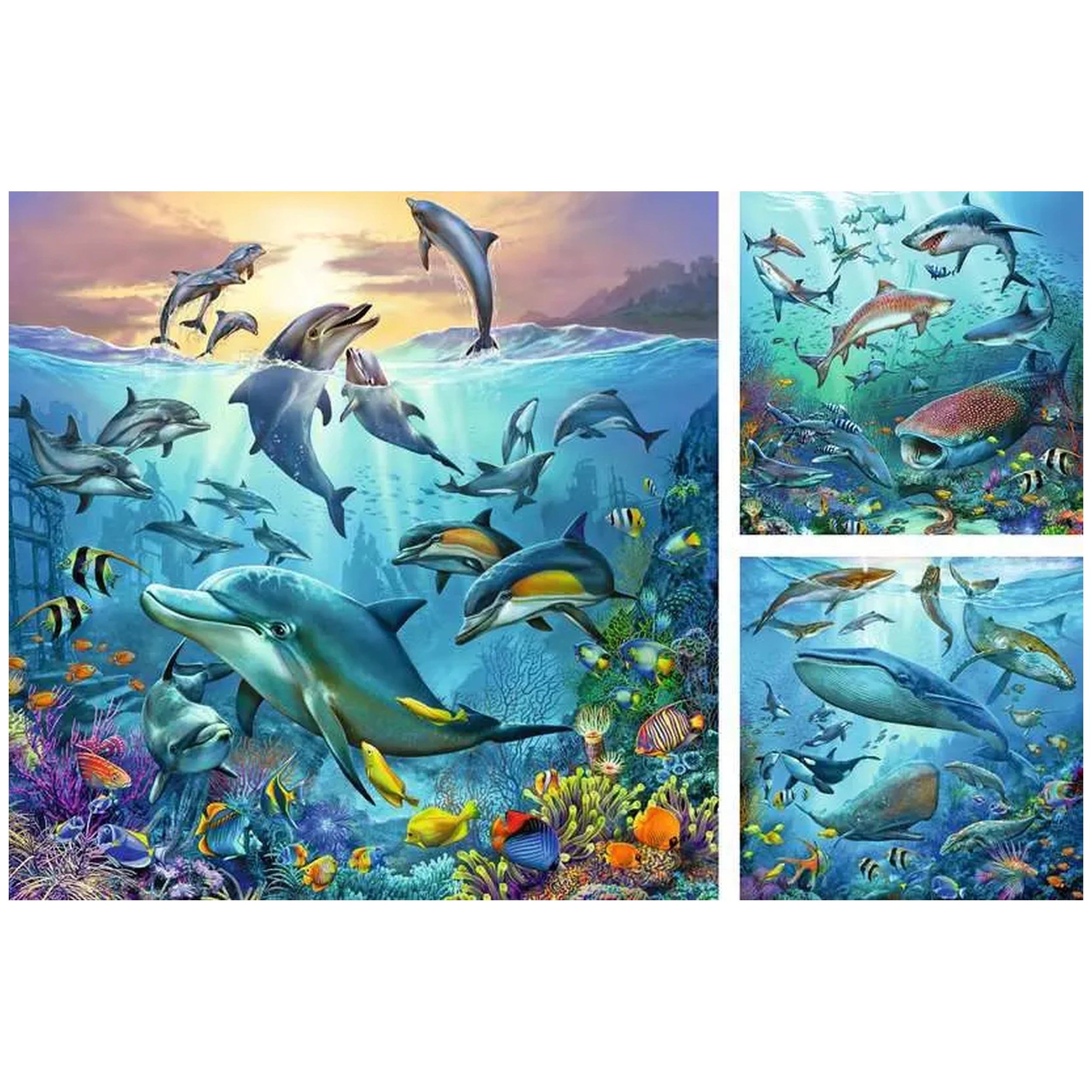 Ravensburger - Ocean Wildlife - 3x49 Pieces - Puzzles