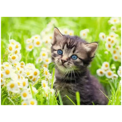 Ravensburger-Puzzle-500-Pieces-Cats-in-the-Field