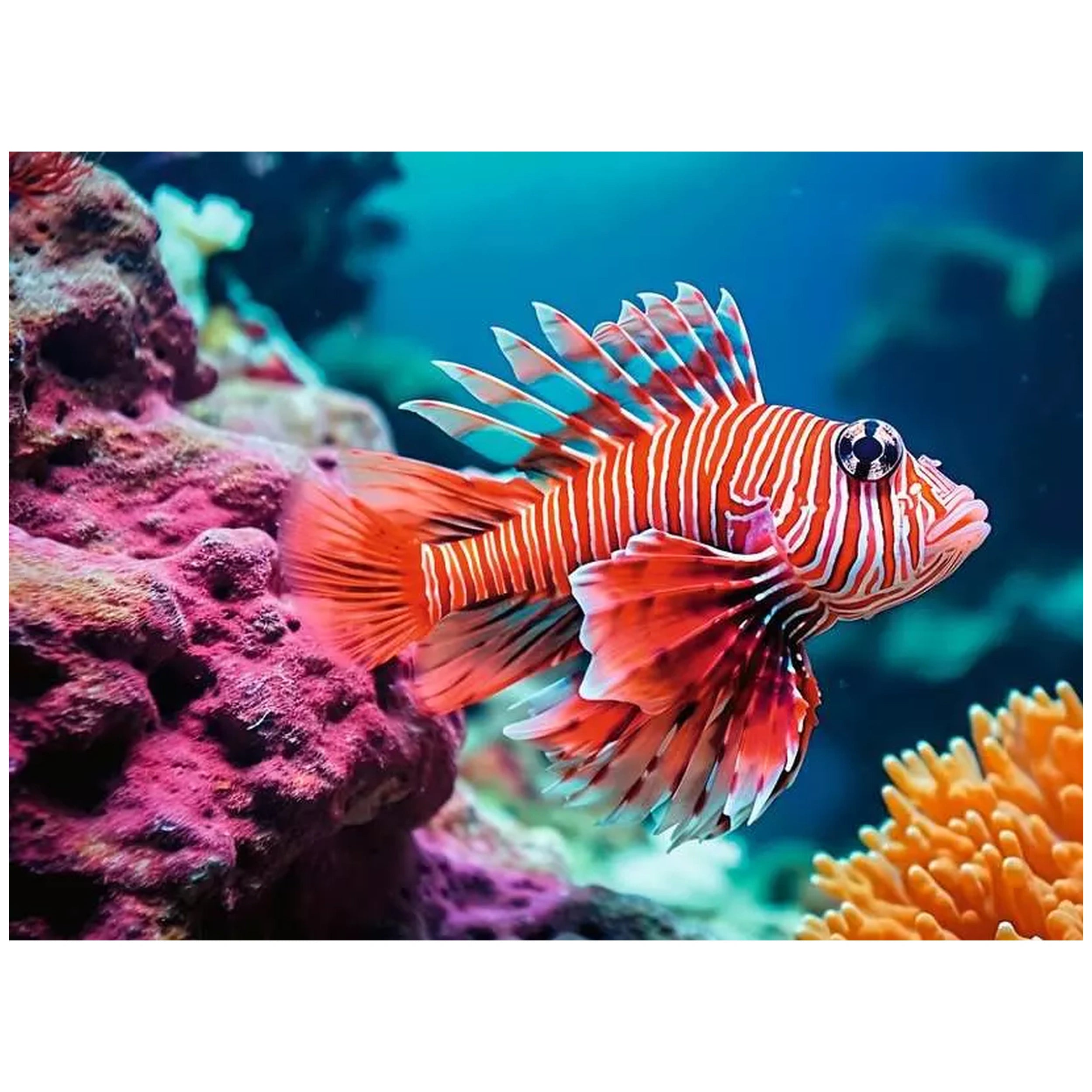 Ravensburger - Puzzle 500 Pièces Animaux Colorés - Puzzles