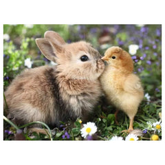 Ravensburger - Puzzles - Puppies 500pcs - Cardboard - 12+ Years - Educational Play