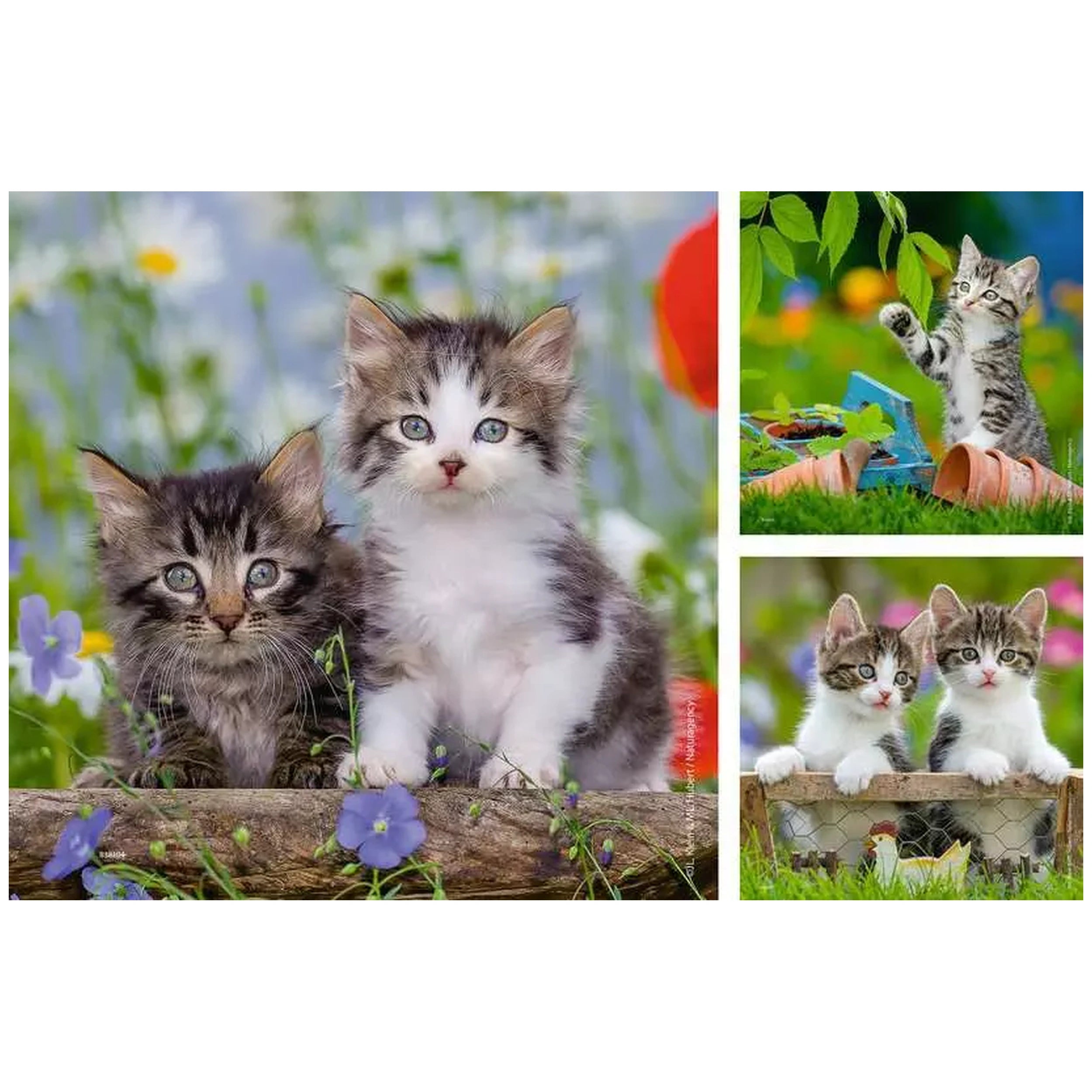 Ravensburger - Sweet Velvet Paws - 3x49 Pieces - Puzzles