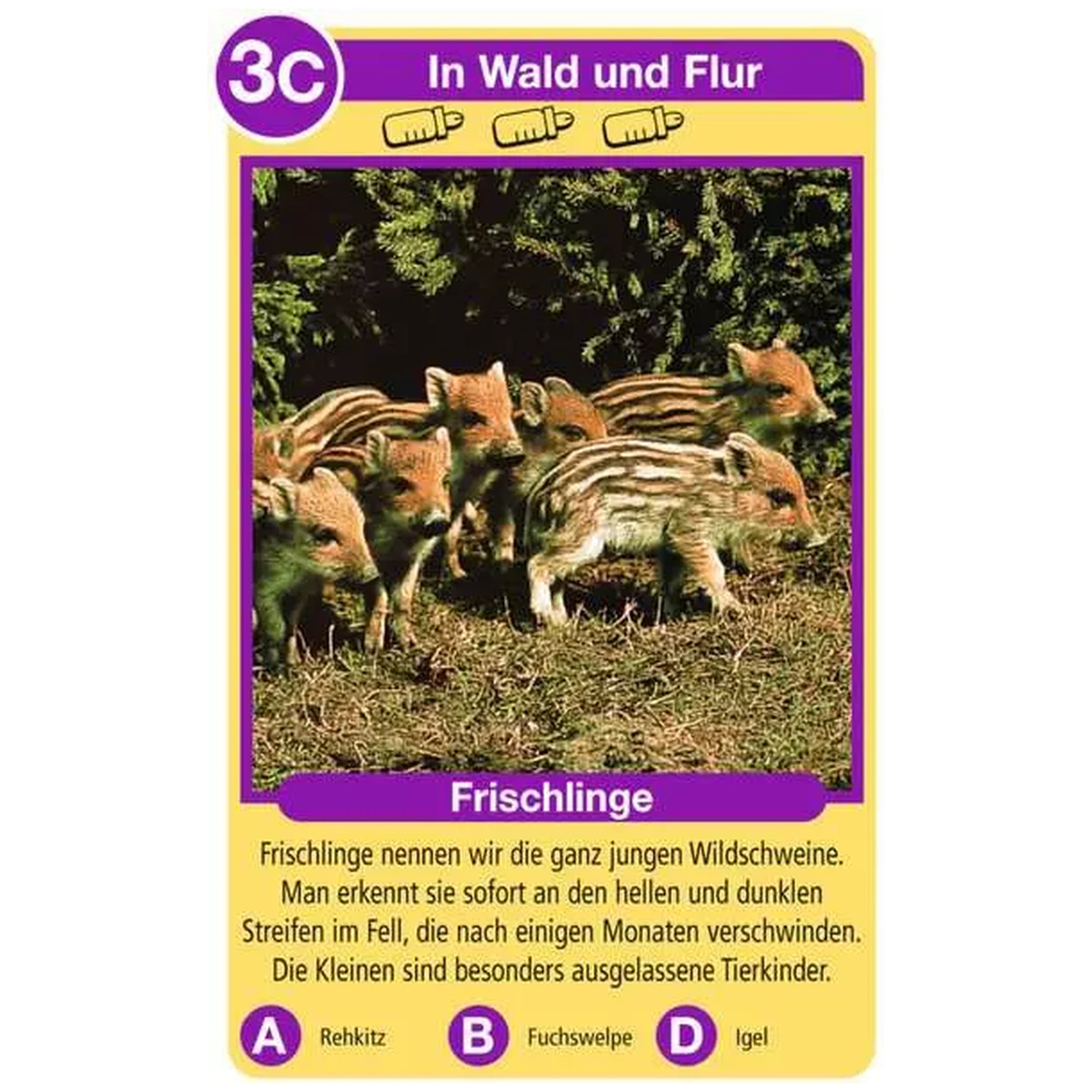 Ravensburger - Tierquartett Tierkinder - Card Game