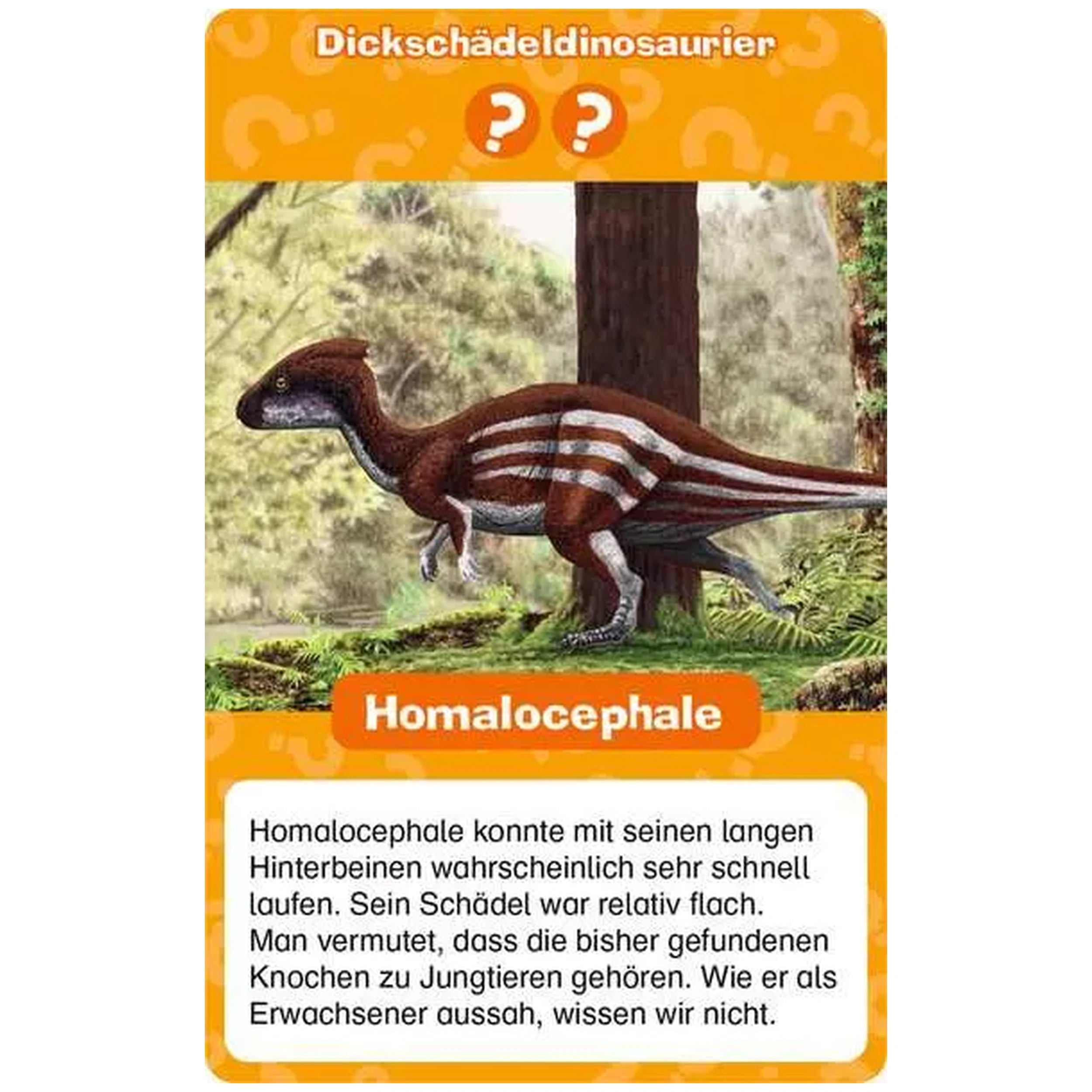 Ravensburger - Wieso? Weshalb? Warum? Dinosaurier Quartett - Jeu de société - Édition allemande