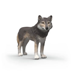 SCHLEICH - Lupo americano - Figurines d'action et jouets - 3+ - 84414991