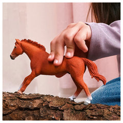 SCHLEICH - Étalon Anglais Pur Sang - Figurines d'Action & Jouets - 3+ - 84414915