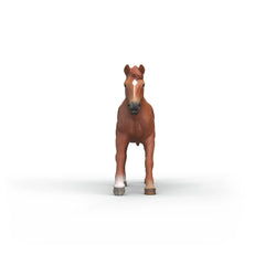 SCHLEICH - Étalon Anglais Pur Sang - Figurines d'Action & Jouets - 3+ - 84414915