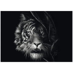 SCHMIDT SPIELE - Tigre sous le signe de la liberté Puzzle de 1000 pièces - Puzzles