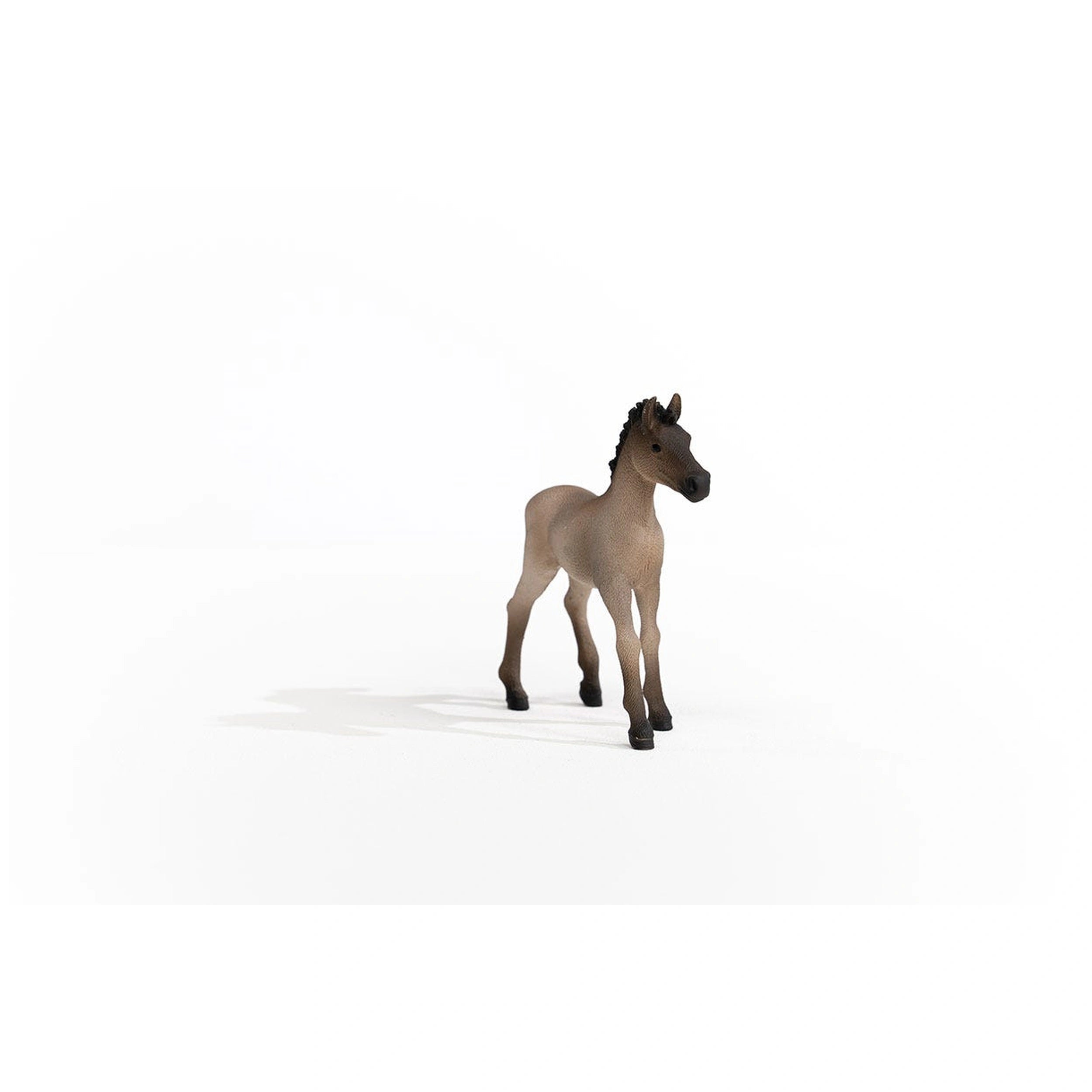 Schleich - Horse Club - Poulain Criollo Définitif - Figurines d'Action et de Jouets - 13949