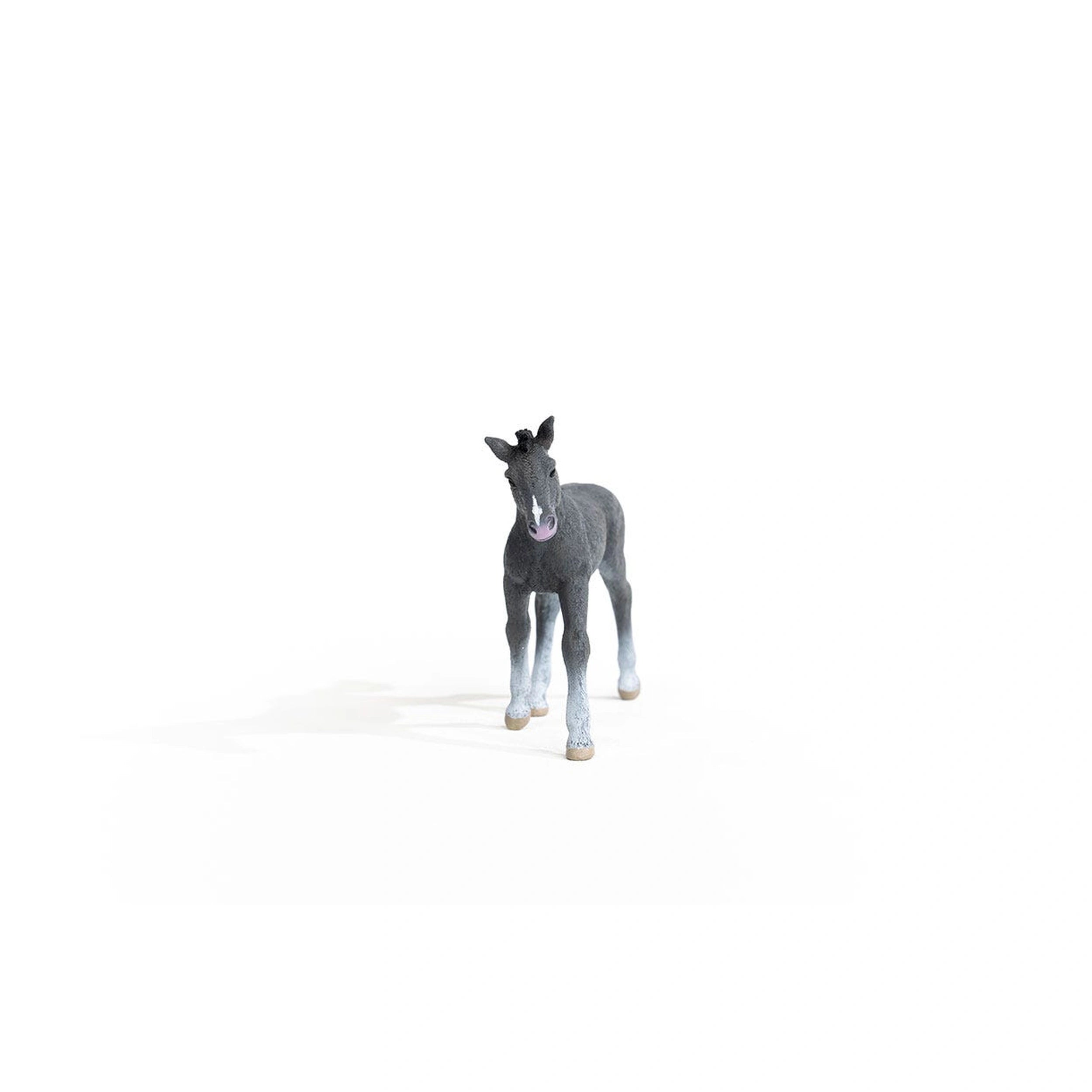 Schleich - Horse Club - Trakehner Colt - Action & Toy Figures - 13944
