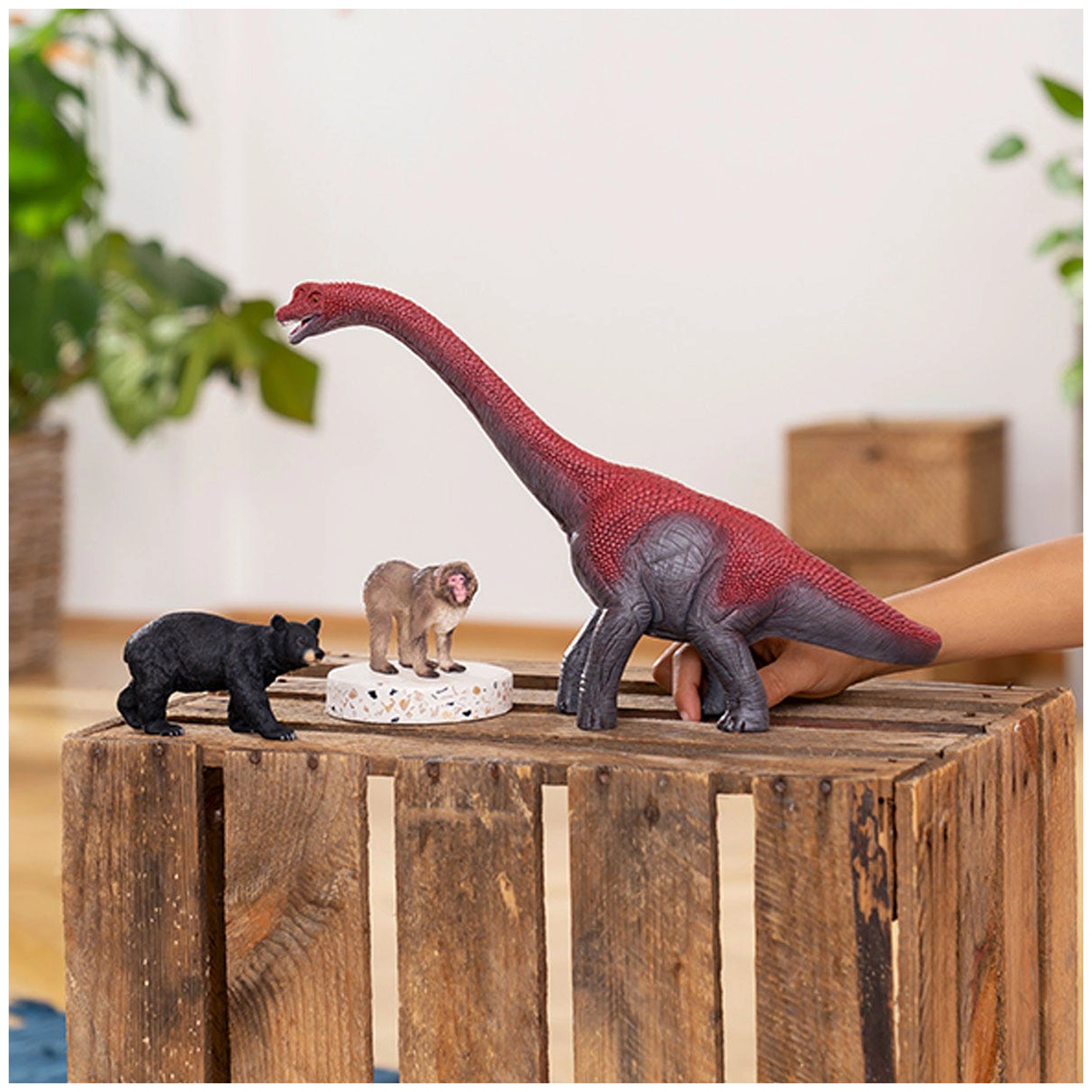 Schleich - Wild Life - American Black Bear - Action & Toy Figures - 14869