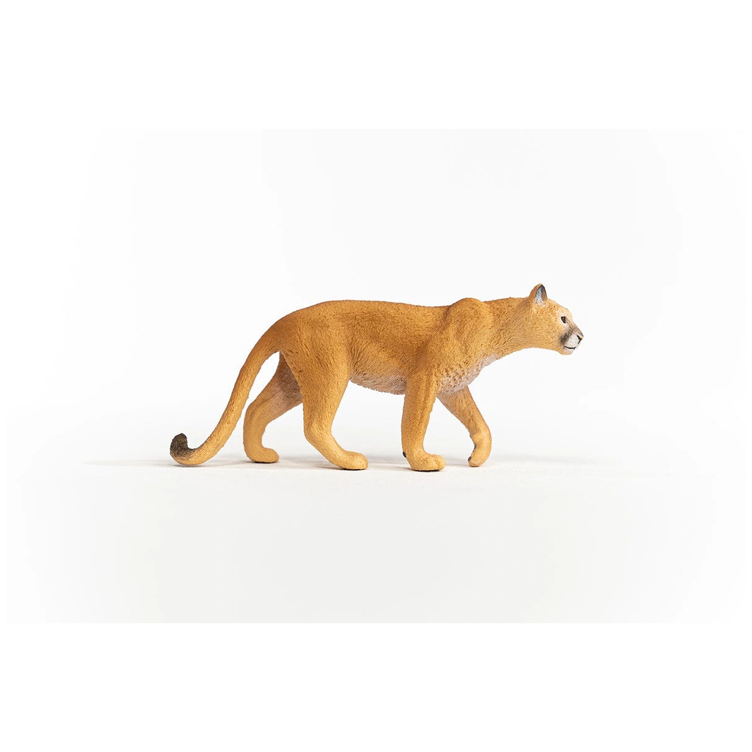 Schleich - Wild Life - Puma - Action & Toy Figures - 14853