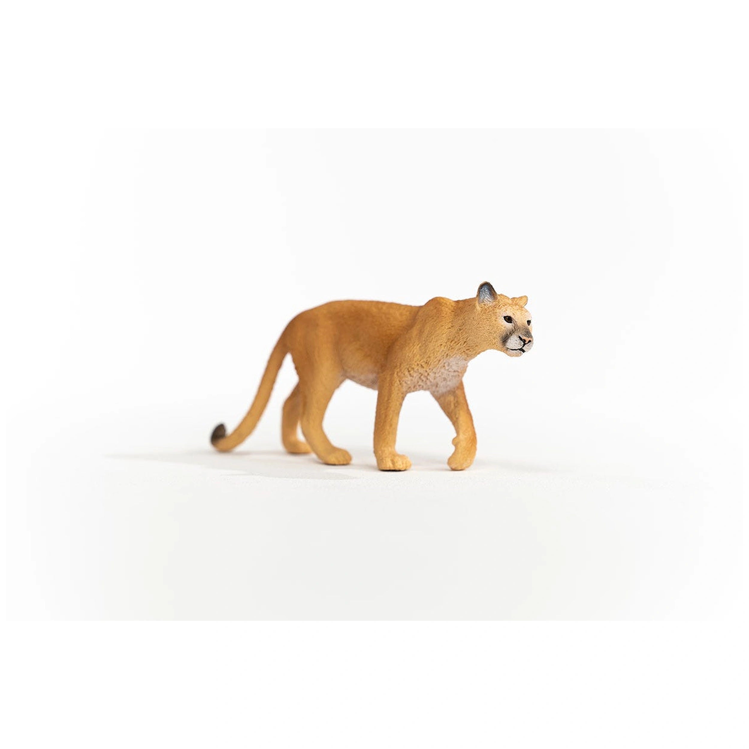 Schleich - Wild Life - Puma - Action & Toy Figures - 14853