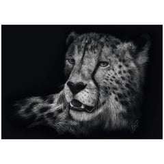 Schmidt Spiele - Speed ​​- Cheetah, sous le signe de la grâce 1000 pièces - puzzles
