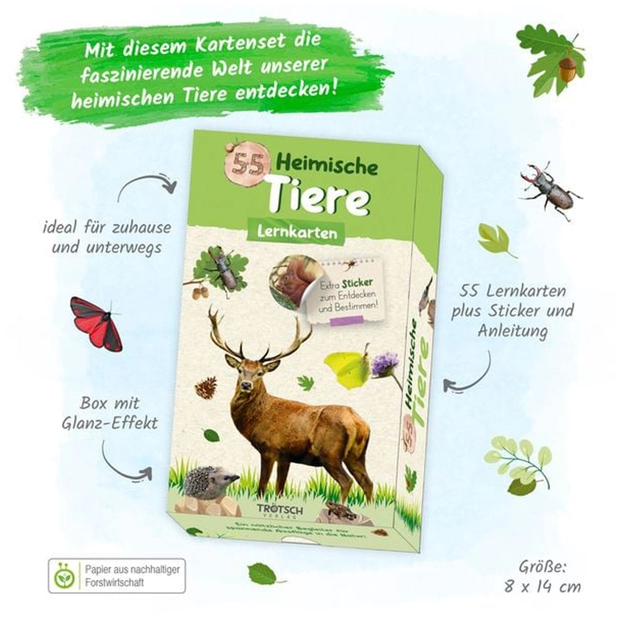 TROTSCH - Cartes d'apprentissage Animaux natifs Livres - Édition allemande