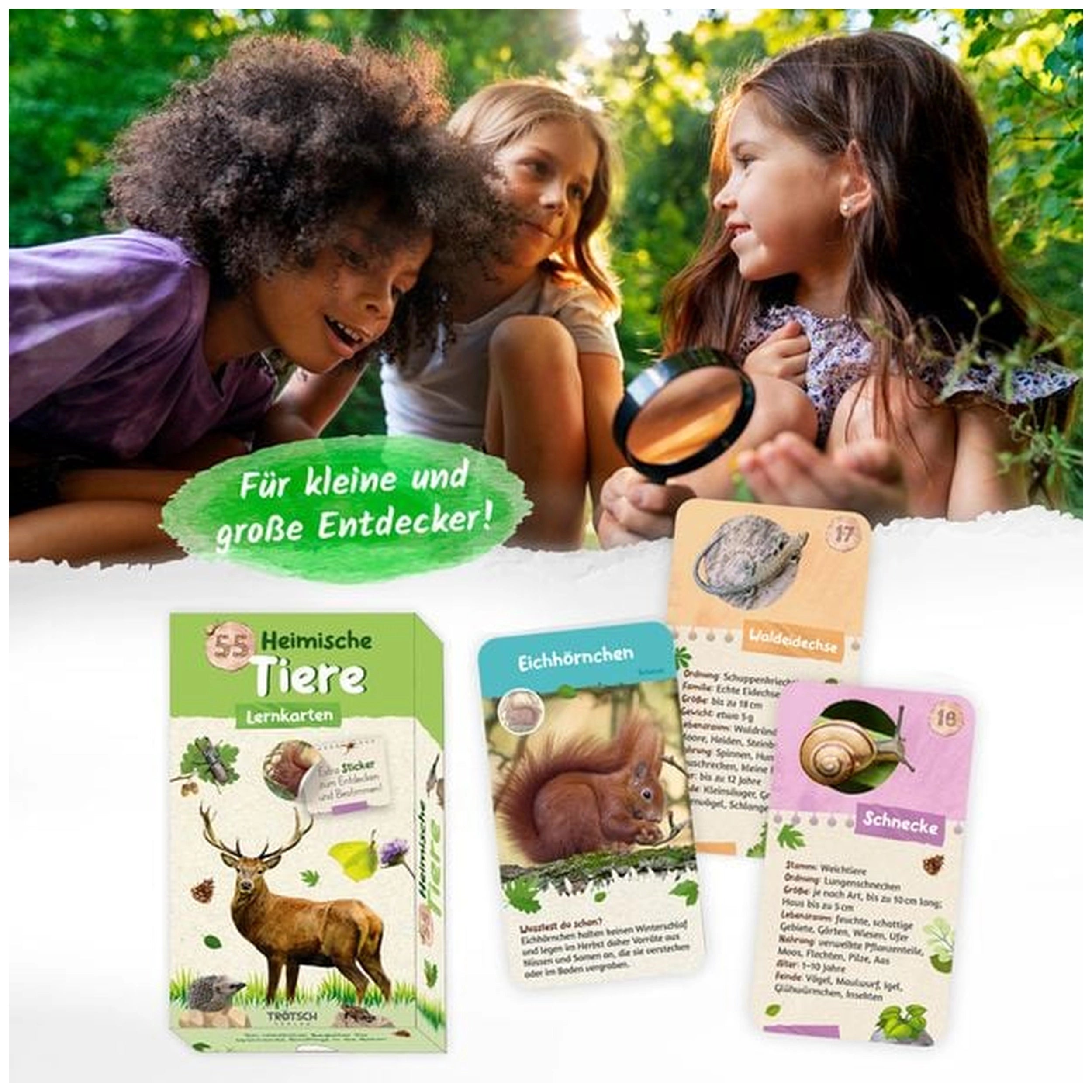 TROTSCH - Cartes d'apprentissage Animaux natifs Livres - Édition allemande