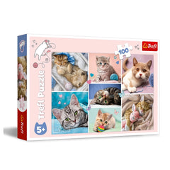 Trefl - Puzzle de 100 pièces - Puzzles - 5 - TRF16420