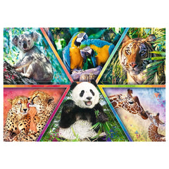 Trefl - Puzzle de 1000 Pièces - Puzzles - 14 - TRF10672