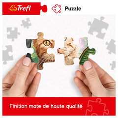 Trefl - Puzzle de 1000 Pièces - Puzzles - 14 - TRF10672