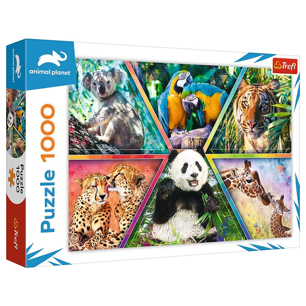 Trefl - Puzzle de 1000 Pièces - Puzzles - 14 - TRF10672