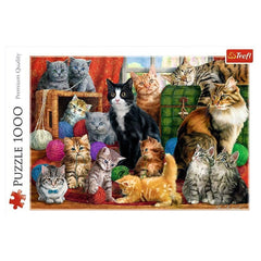 Trefl - Feline Meeting - Puzzles - 14 - TRF10555