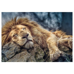 Trefl - Lion Endormi - Puzzles - 14+ - TRF10447