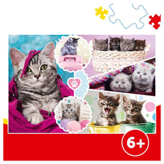Trefl - Adorable Kittens - Puzzles - 6 - TRF15371