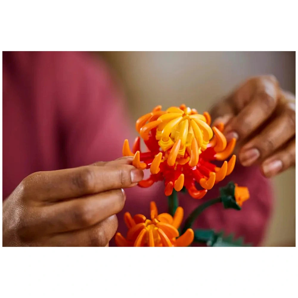 Hands assembling a vibrant LEGO® Icons Chrysanthemum, featuring red and orange flowers, with intricate petals and a green stem.
