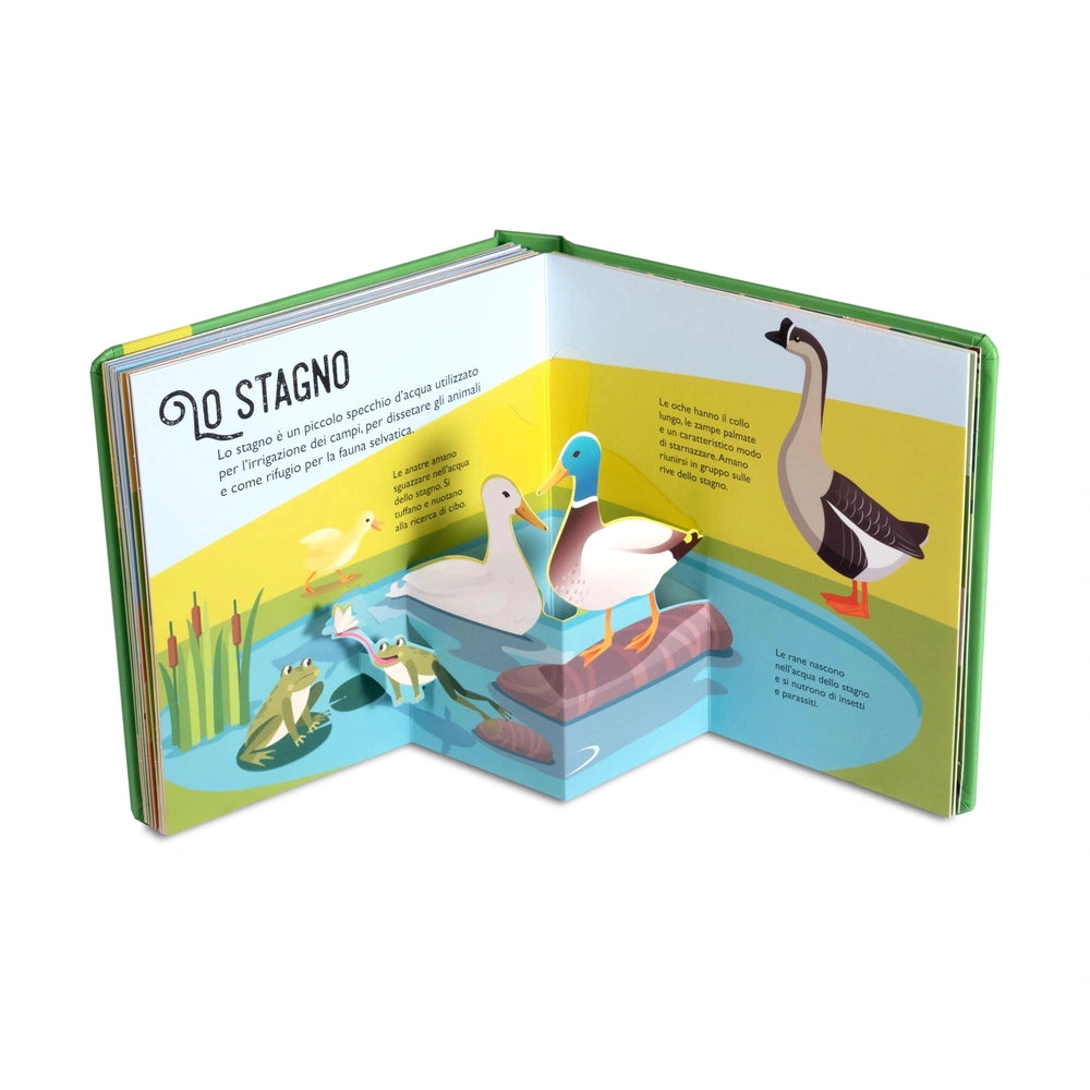 NUINUI Farm Life Pop Up Book features colorful cardboard scenes with animals like ducks, a frog, fish, and a turtle.